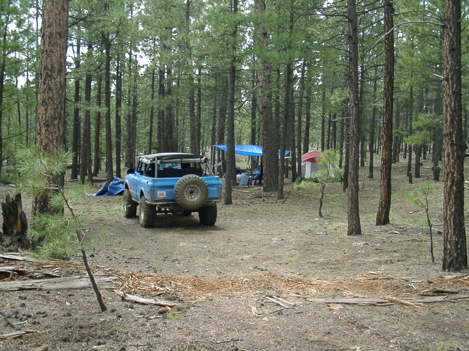 July 2005 Camping Trip On The Mogollon Rim Near Forest Lakes Az